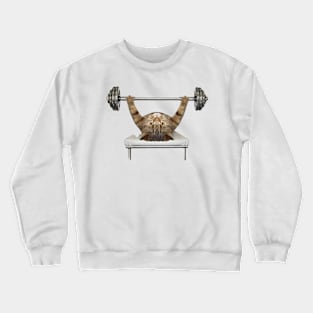 cat Crewneck Sweatshirt